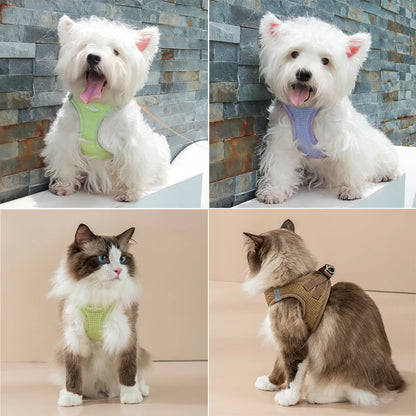 Puppy Cat Harness with Leash