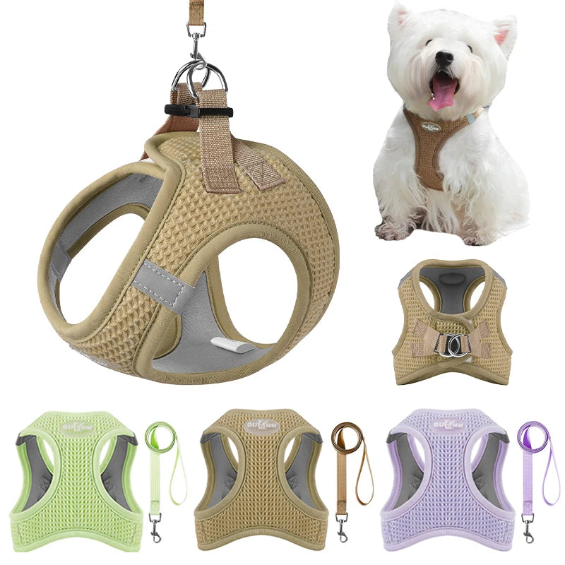 Puppy Cat Harness with Leash