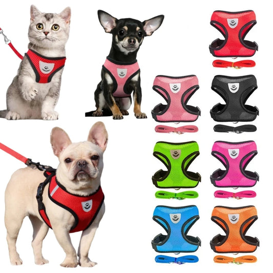 BMesh Cat Small Dog Harness And Leash Kitten