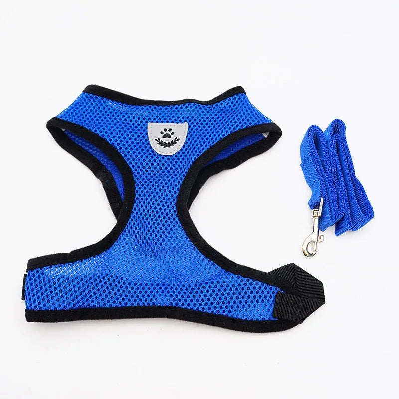 BMesh Cat Small Dog Harness And Leash Kitten