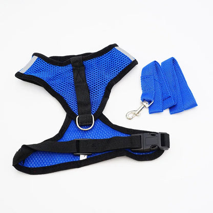 BMesh Cat Small Dog Harness And Leash Kitten