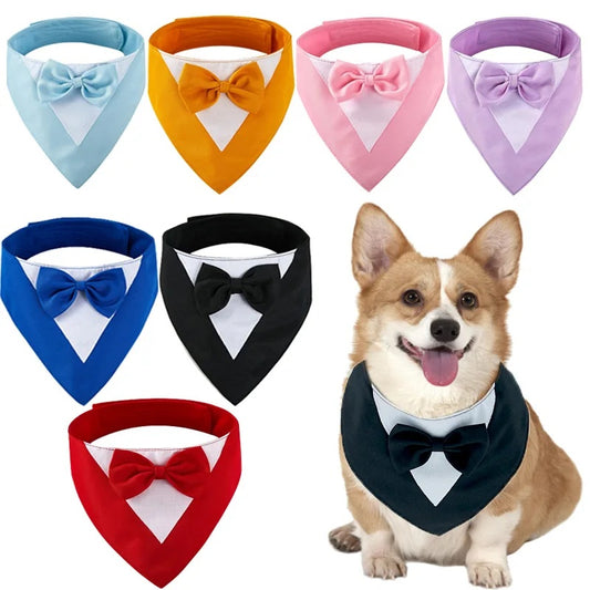 Pet Collar Dog Clothing Cat Puppy Scarf Dog Collar Harness